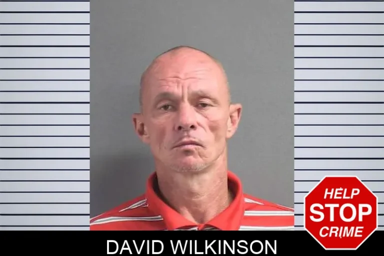 David Wilkinson