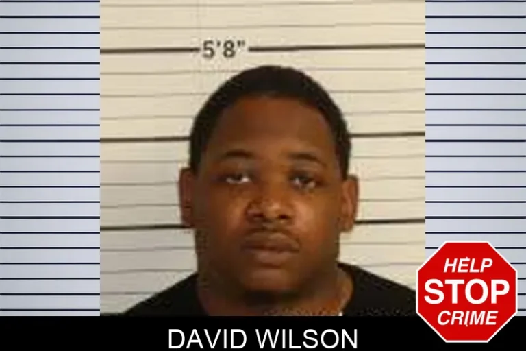 David Wilson