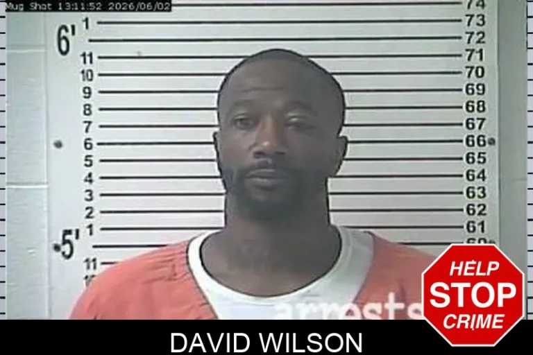 David Wilson