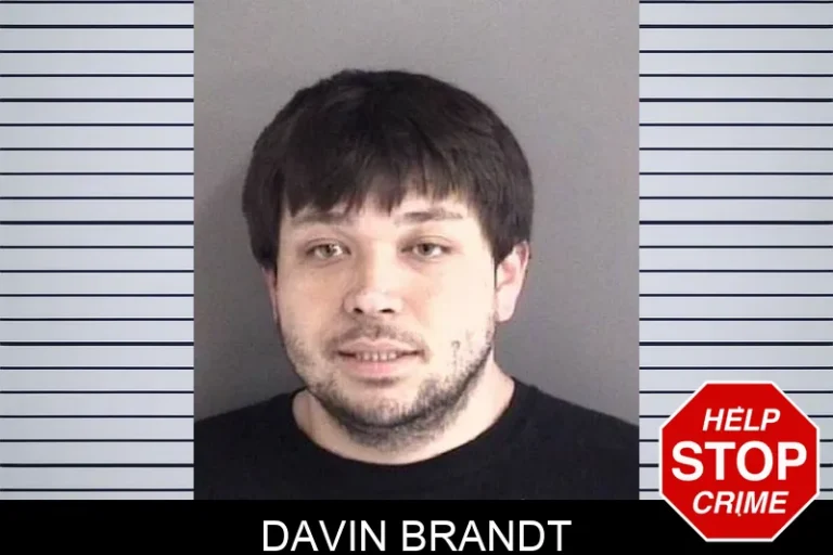 Davin Brandt