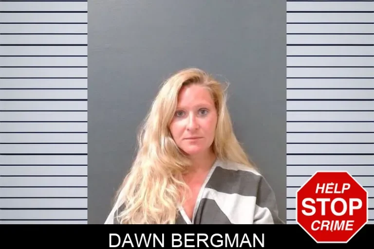 Dawn Bergman