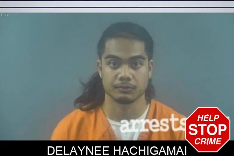 Delaynee Hachigamai