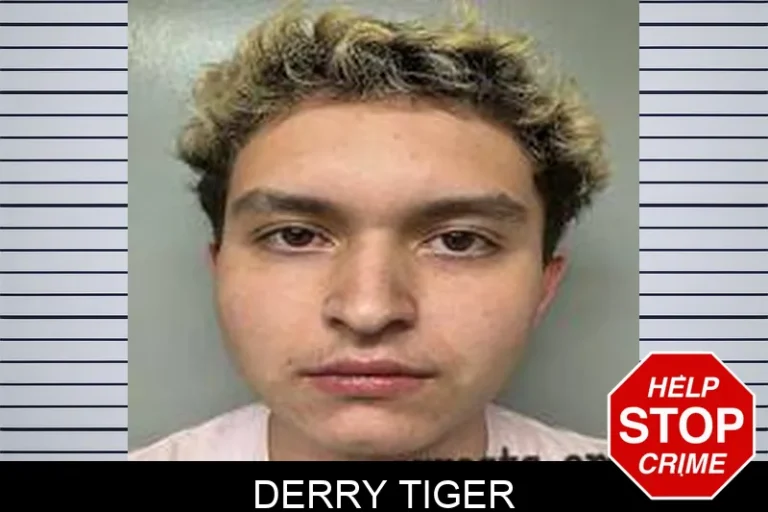 Derry Tiger