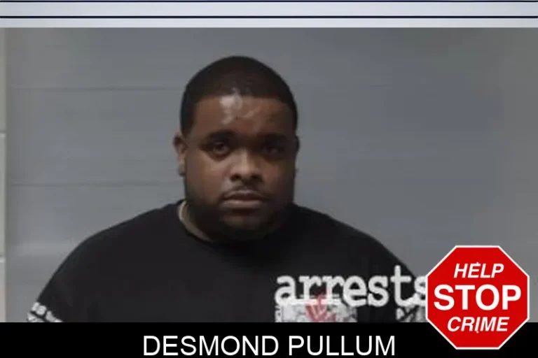 Desmond Pullum