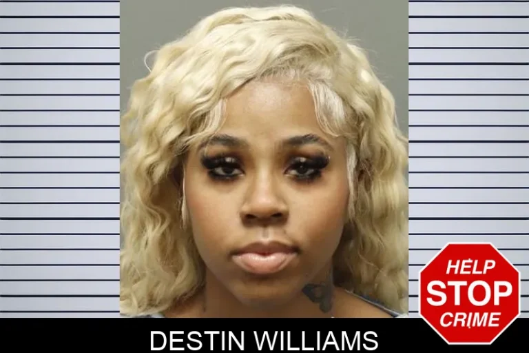 Destin Williams