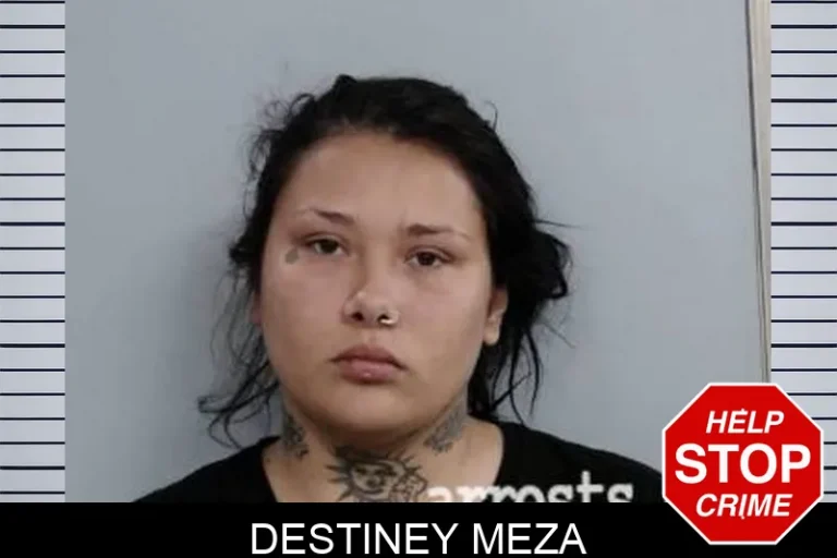 Destiney Meza