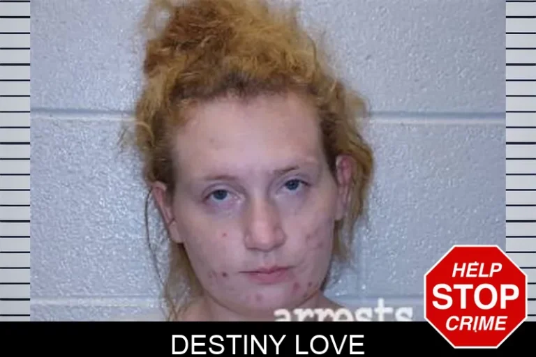 Destiny Love