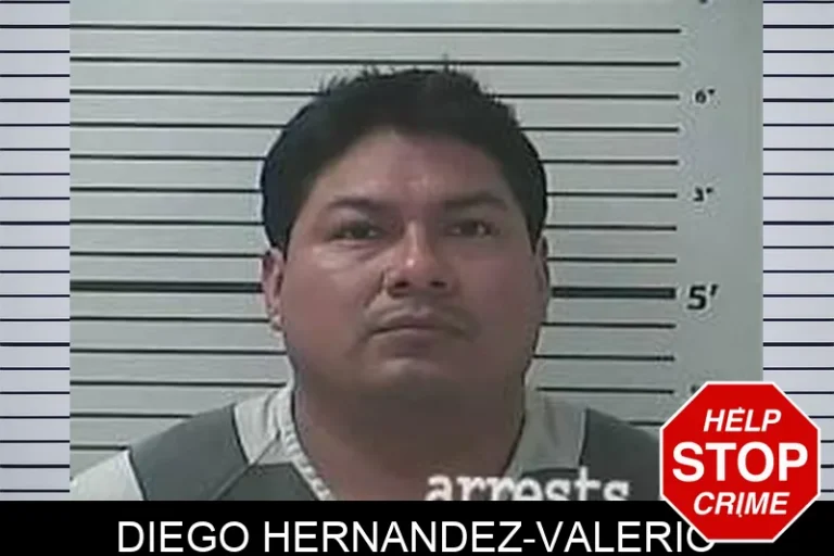 Diego Hernandez-Valerio