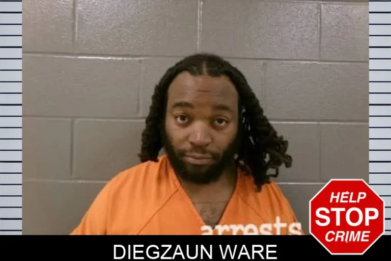Diegzaun Ware
