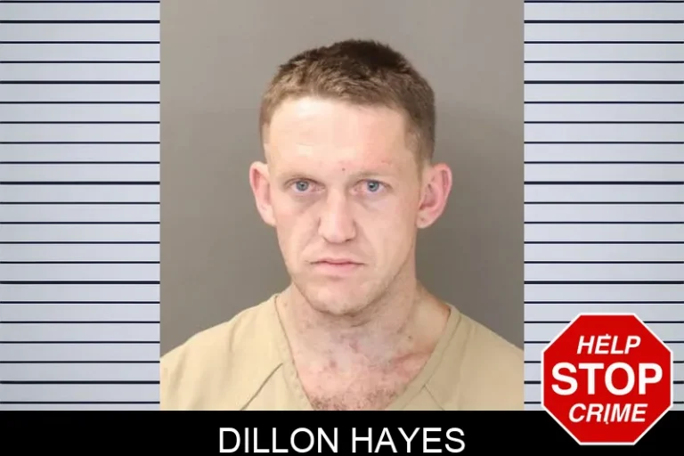 Dillon Hayes