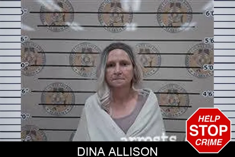 Dina Allison