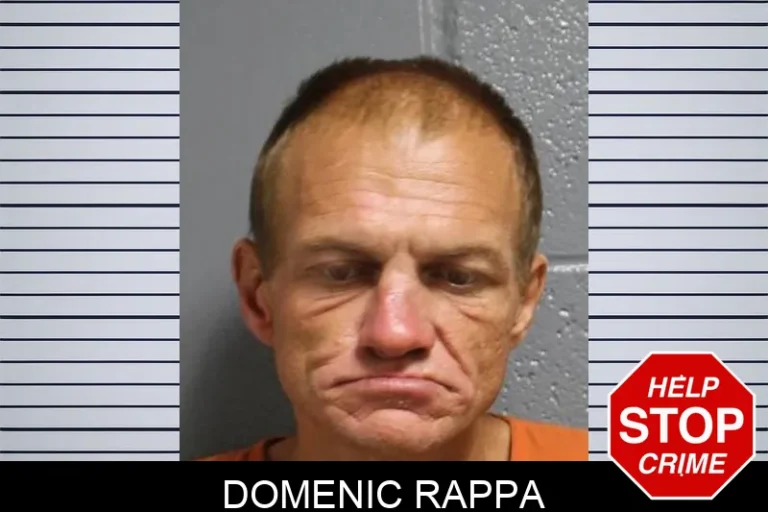 Domenic Rappa