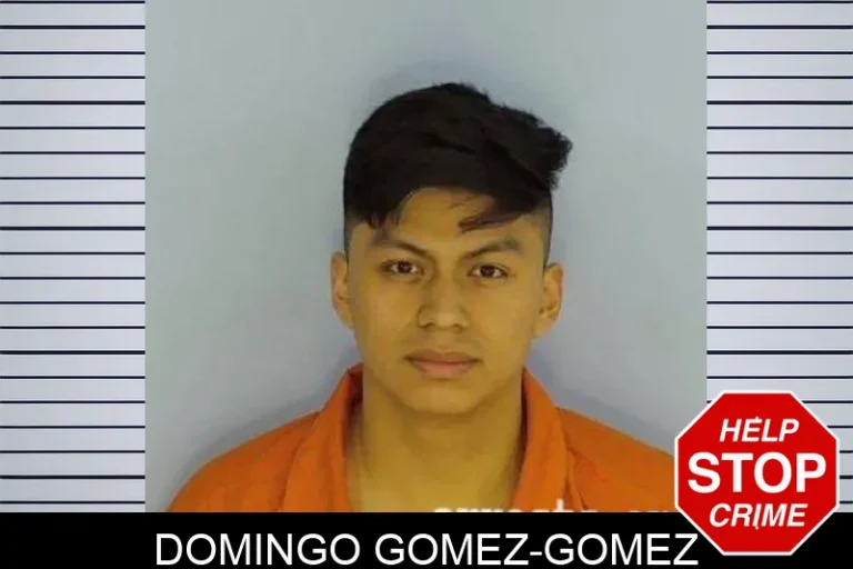 Domingo Gomez-Gomez