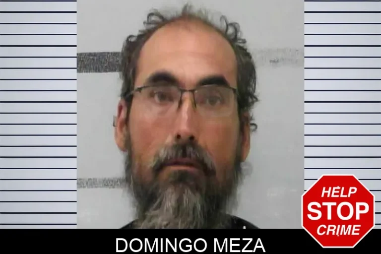 Domingo Meza