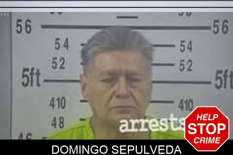 Domingo Sepulveda