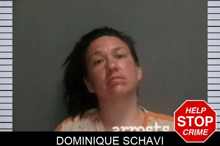 Dominique Schavi