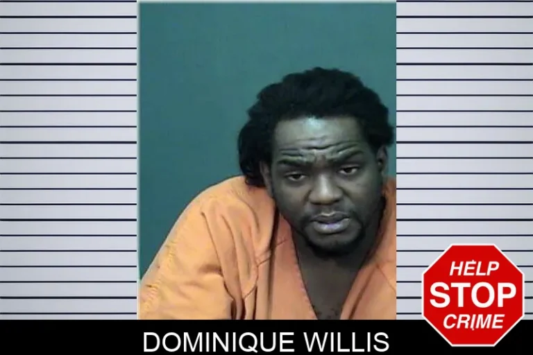 Dominique Willis