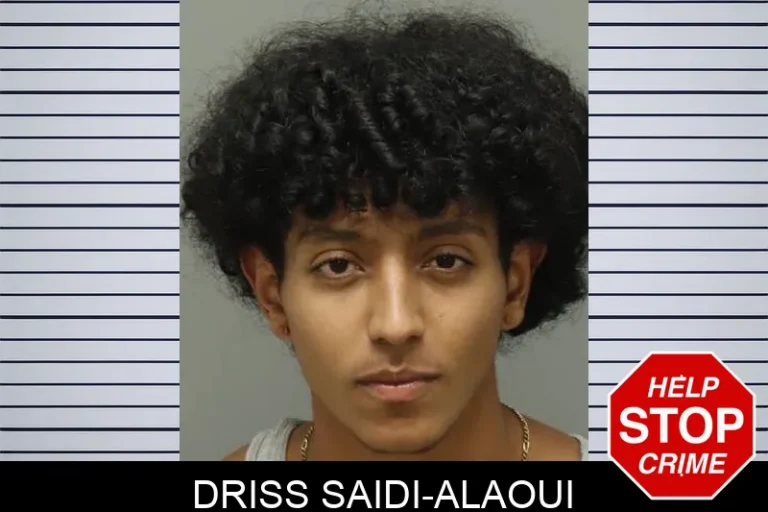 Driss Saidi-Alaoui