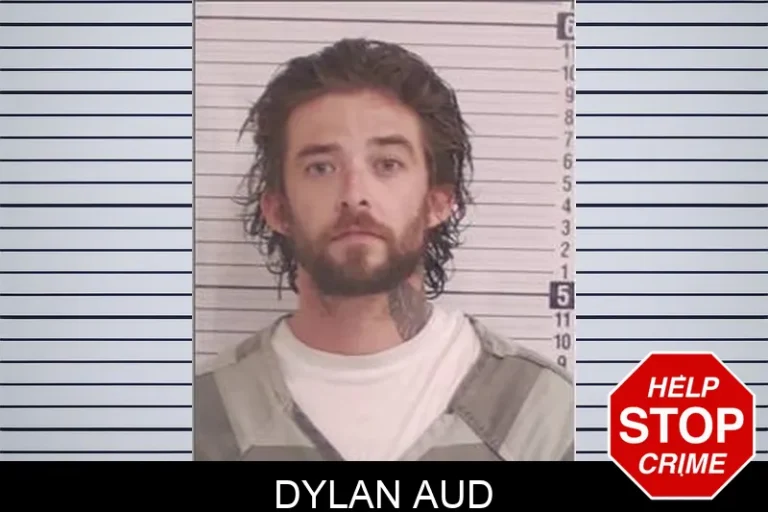 Dylan Aud