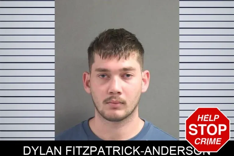 Dylan Fitzpatrick-Anderson