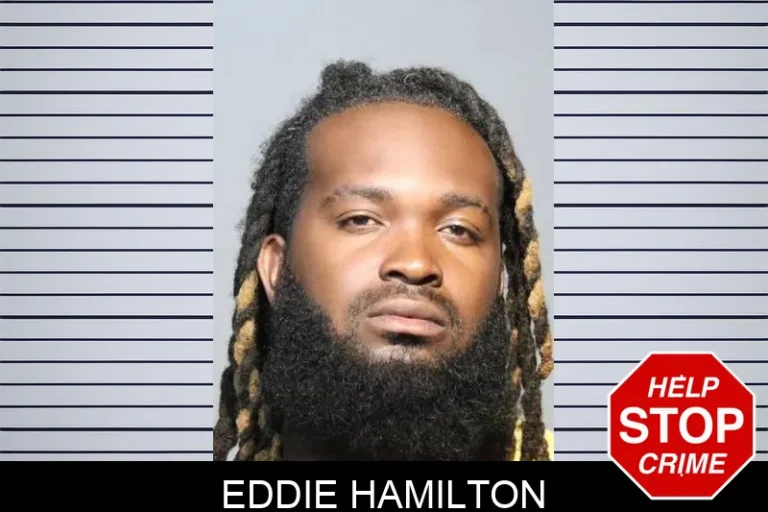 Eddie Hamilton