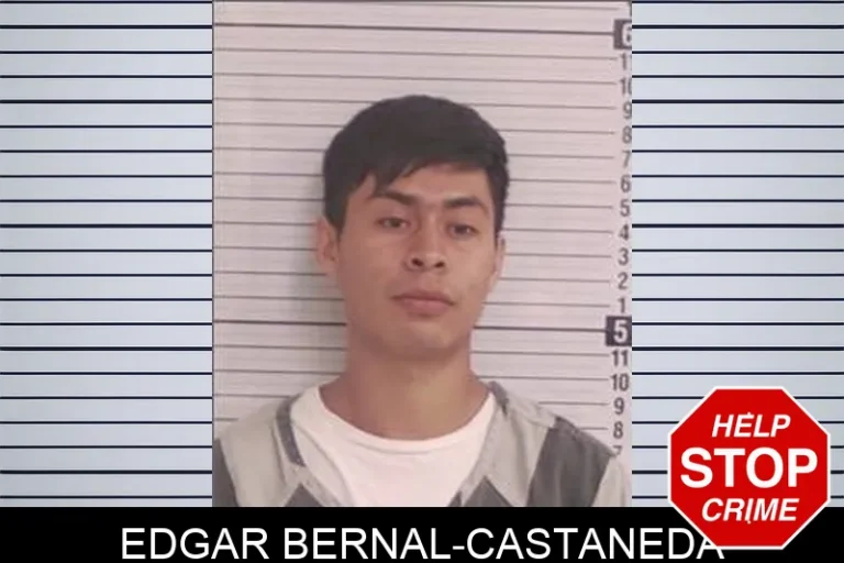 Edgar Bernal-Castaneda