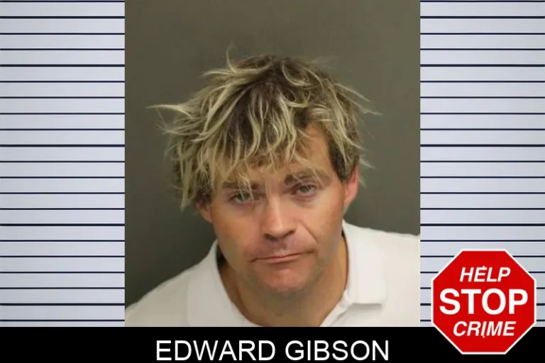 Edward Gibson