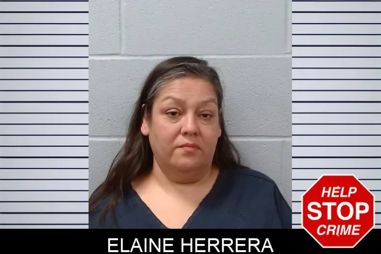 Elaine Herrera