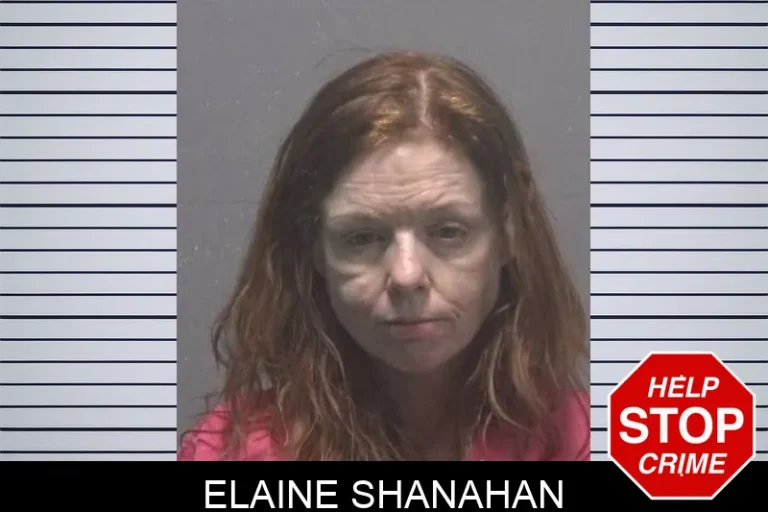 Elaine Shanahan