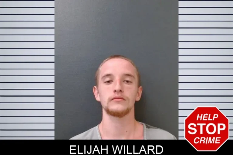Elijah Willard