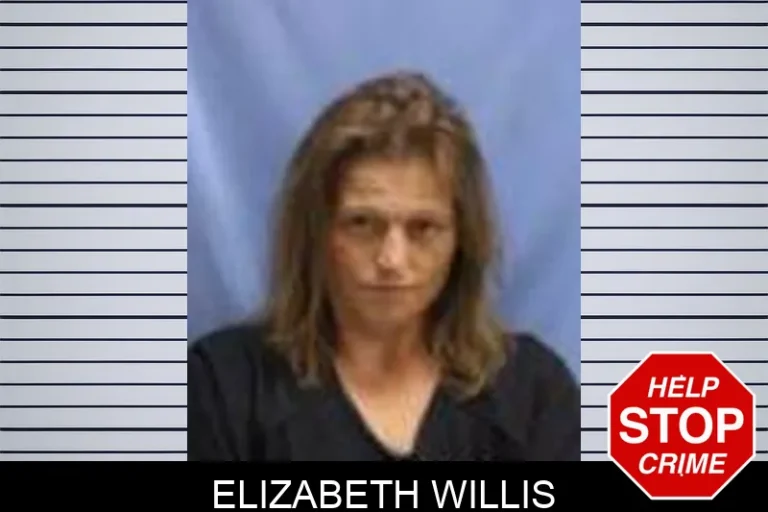 Elizabeth Willis