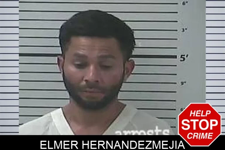 Elmer HernandezMejia