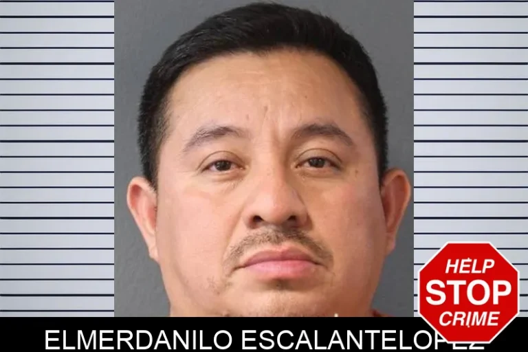 ElmerDanilo EscalanteLopez