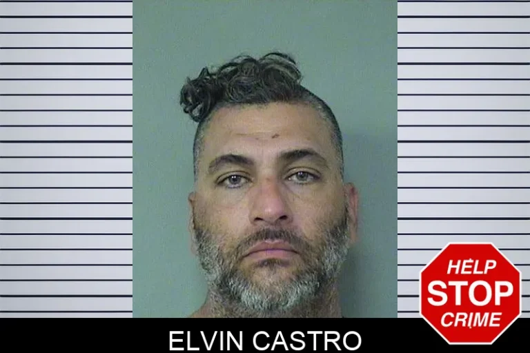 Elvin Castro