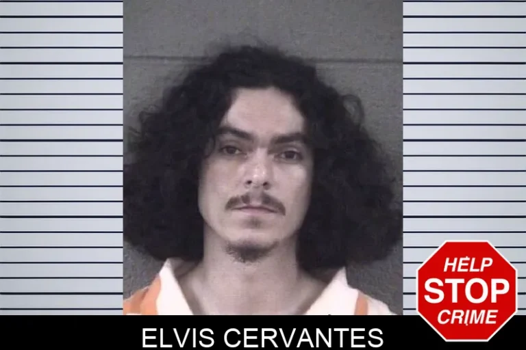 Elvis Cervantes