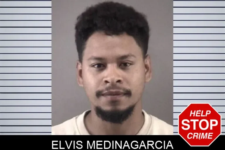 Elvis Medinagarcia