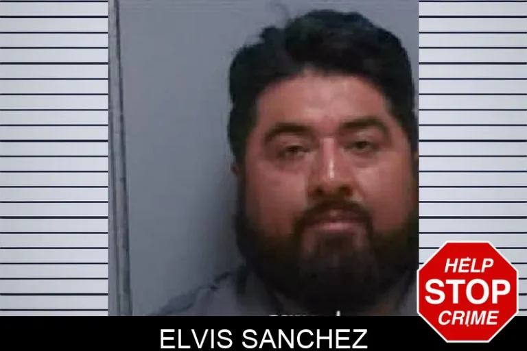 Elvis Sanchez