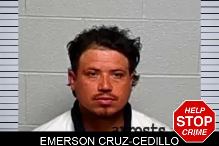 Emerson Cruz-Cedillo