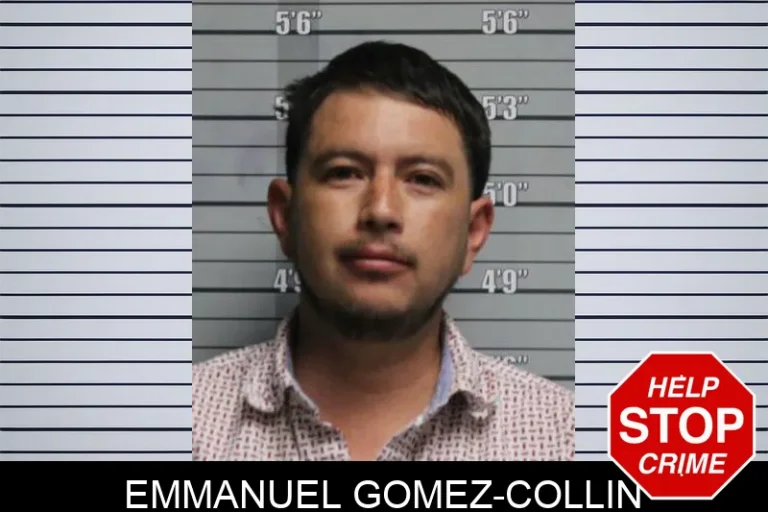 Emmanuel Gomez-Collin