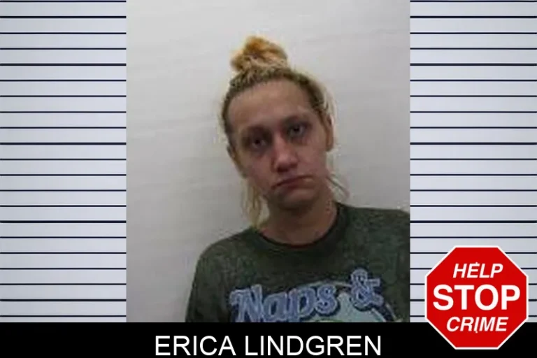 Erica Lindgren