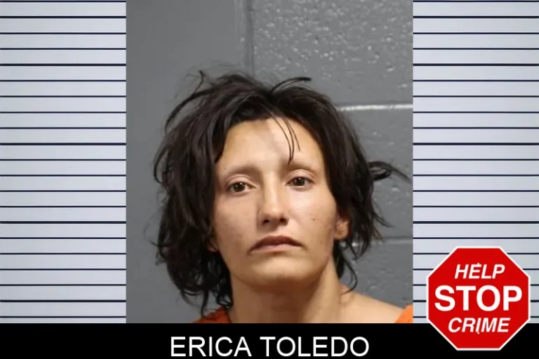 Erica Toledo
