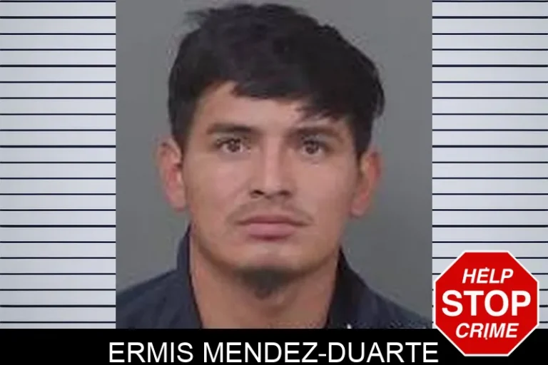 Ermis Mendez-Duarte