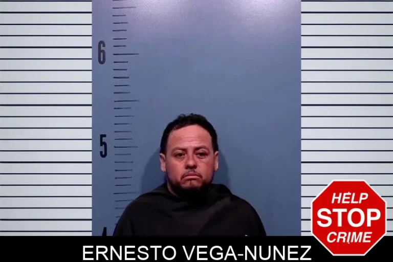 Ernesto Vega-Nunez
