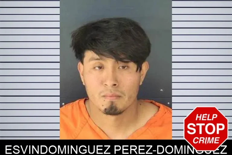 EsvinDominguez Perez-Dominguez