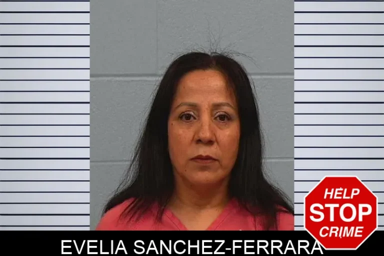 Evelia Sanchez-Ferrara