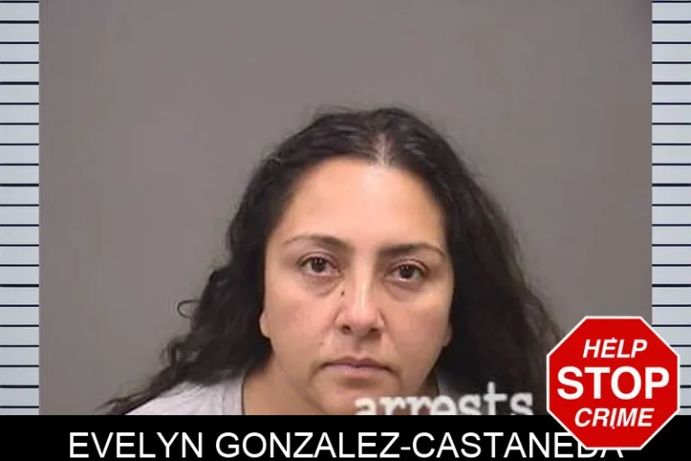 Evelyn Gonzalez-Castaneda