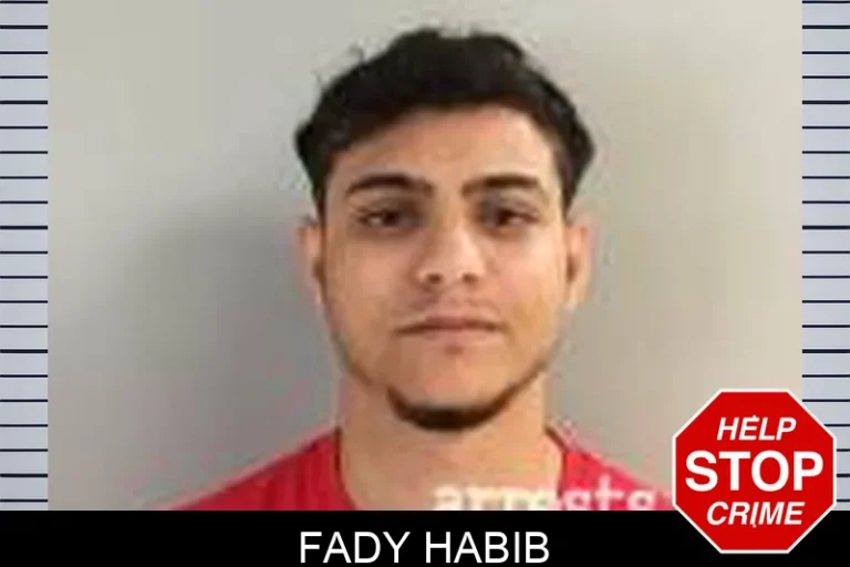 Fady Habib