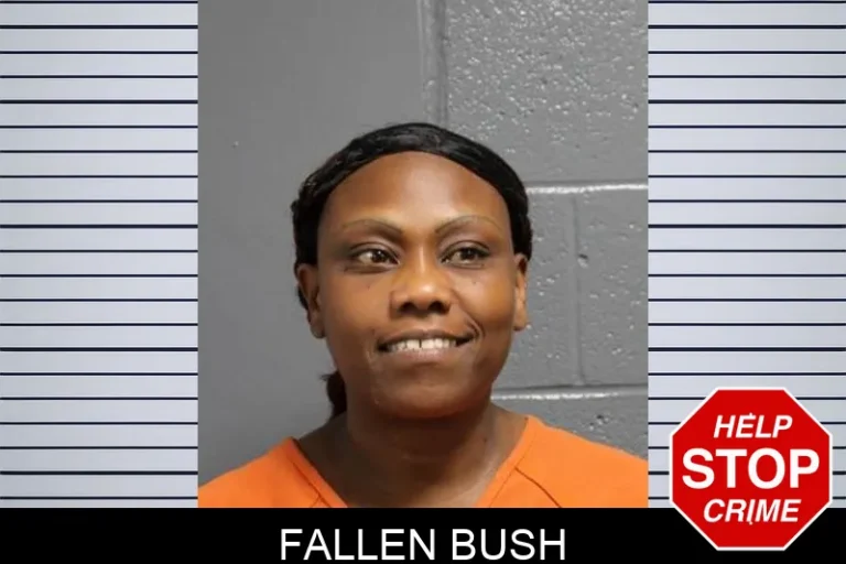 Fallen Bush