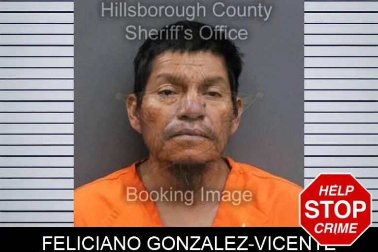 Feliciano Gonzalez-Vicente