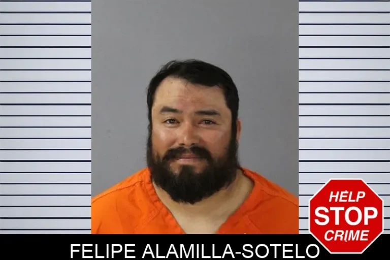Felipe Alamilla-Sotelo